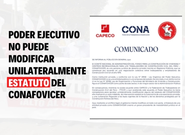 Ejecutivo no puede modificar unilateralmente Estatuto del CONAFOVICER